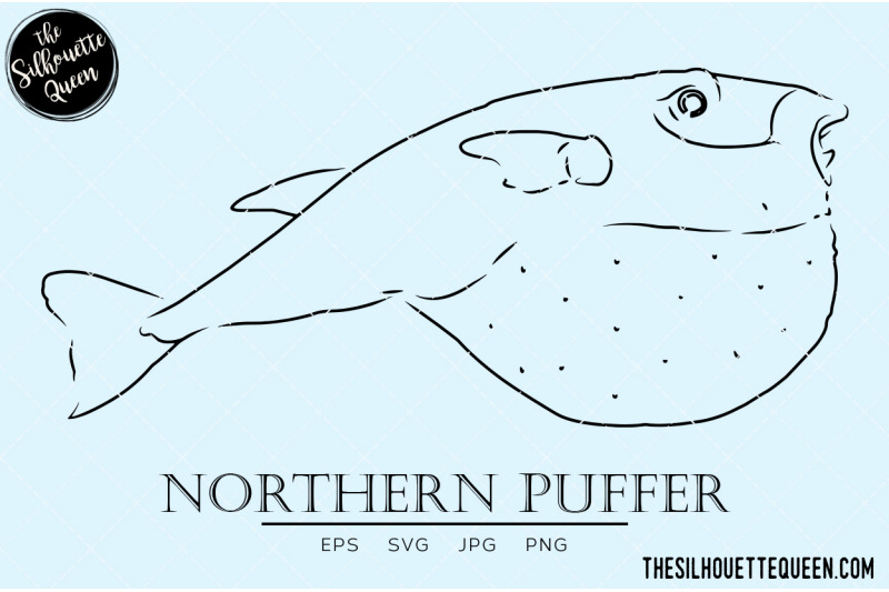 northern-puffer-hand-sketched-hand-drawn-vector-clipart