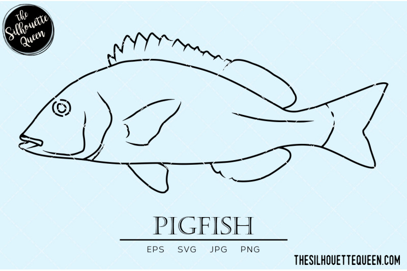 pigfish-hand-sketched-hand-drawn-vector-clipart