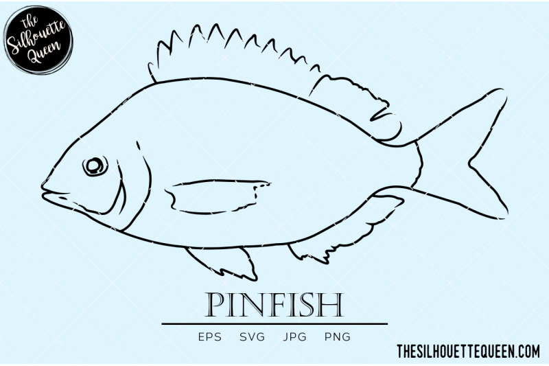 pinfish-hand-sketched-hand-drawn-vector-clipart