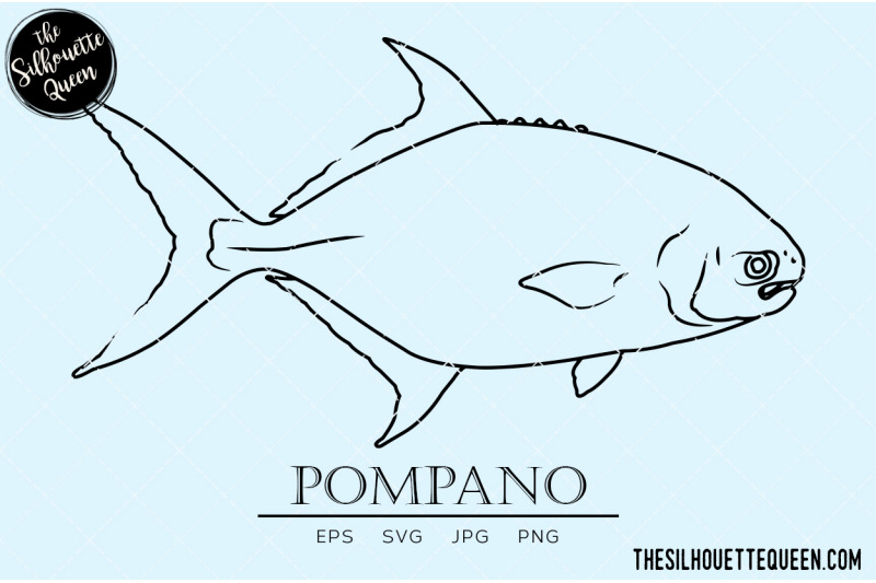 pompano-hand-sketched-hand-drawn-vector-clipart