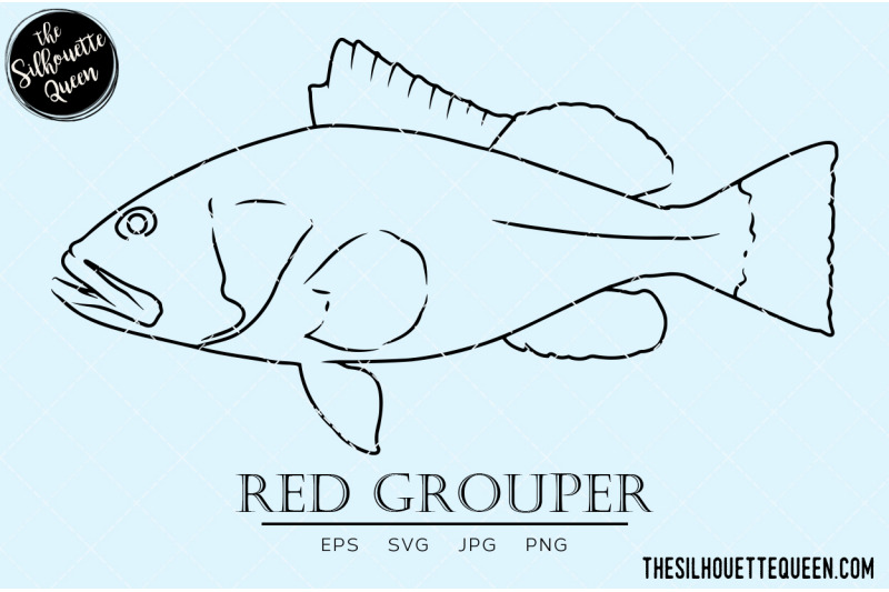 red-grouper-hand-sketched-hand-drawn-vector-clipart