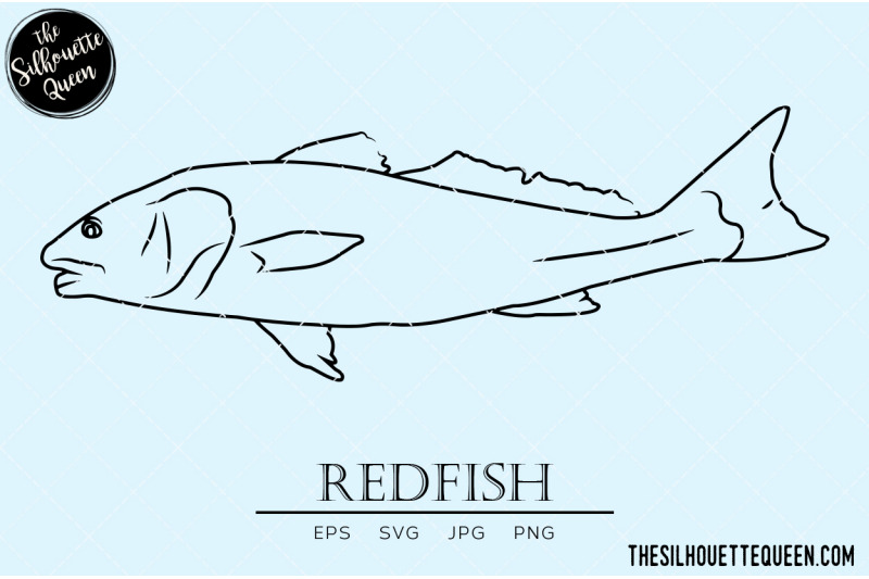 redfish-hand-sketched-hand-drawn-vector-clipart