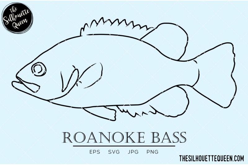 roanoke-bass-hand-sketched-hand-drawn-vector-clipart