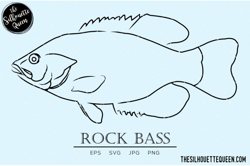 rock-bass-hand-sketched-hand-drawn-vector-clipart