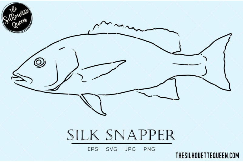 silk-snapper-hand-sketched-hand-drawn-vector-clipart