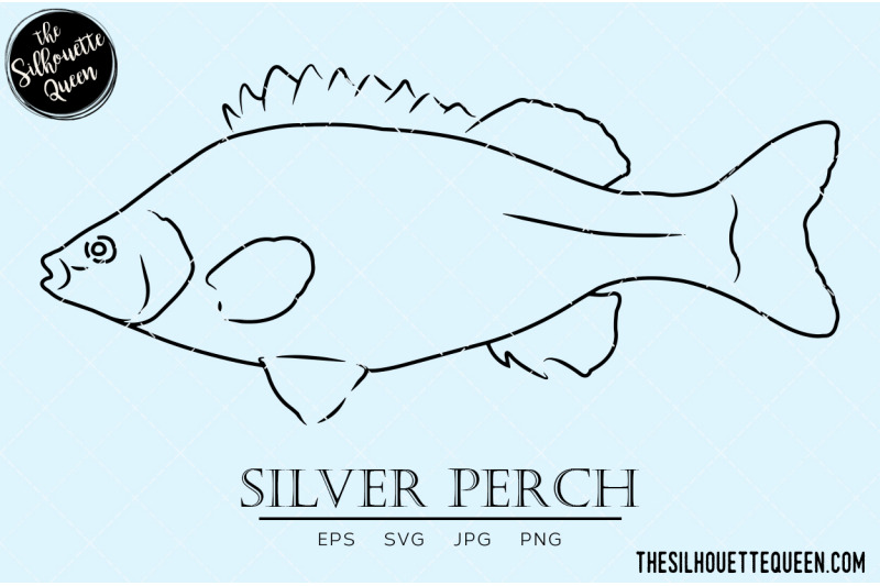 silver-perch-hand-sketched-hand-drawn-vector-clipart