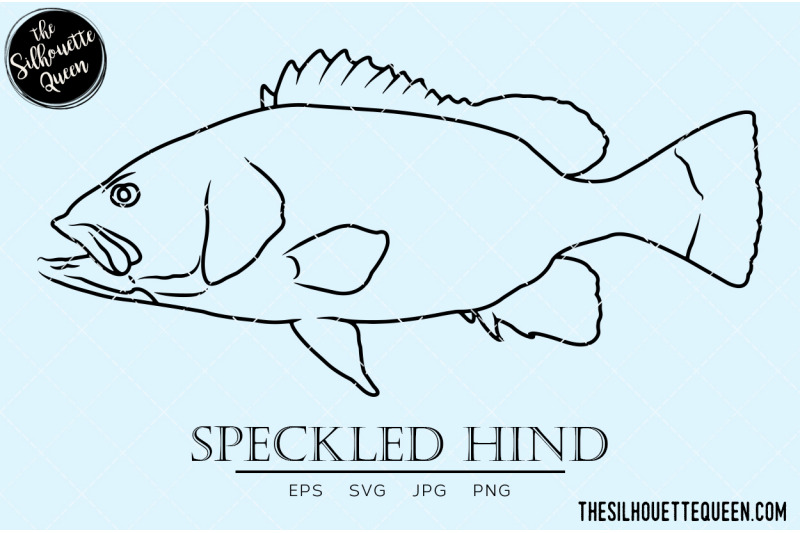 speckled-hind-hand-sketched-hand-drawn-vector-clipart