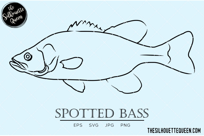 spotted-bass-hand-sketched-hand-drawn-vector-clipart