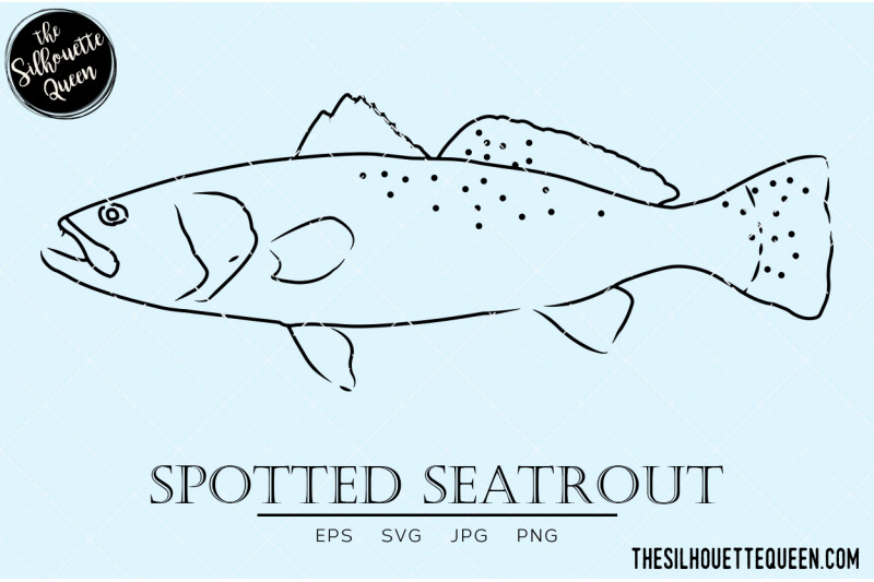 spotted-seatrout-hand-sketched-hand-drawn-vector-clipart