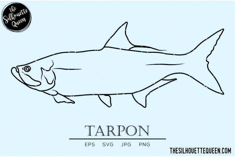 tarpon-hand-sketched-hand-drawn-vector-clipart