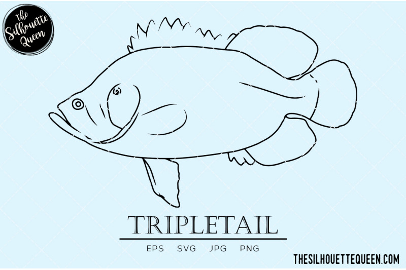 tripletail-hand-sketched-hand-drawn-vector-clipart