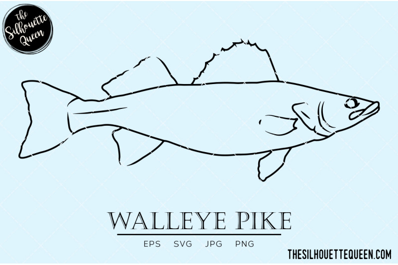 walleye-pike-hand-sketched-hand-drawn-vector-clipart