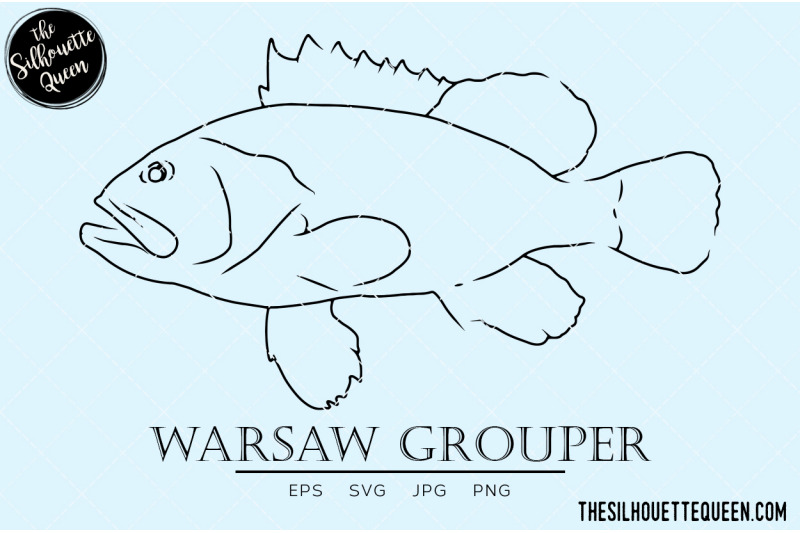 warsaw-grouper-hand-sketched-hand-drawn-vector-clipart