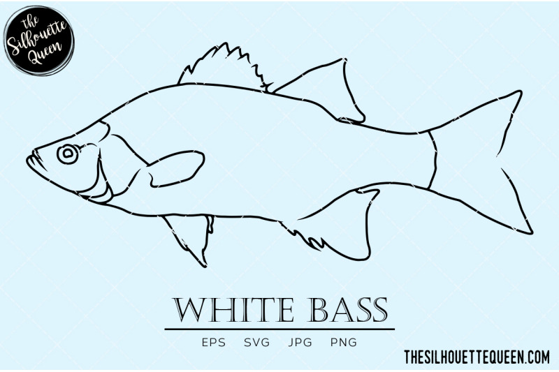 white-bass-hand-sketched-hand-drawn-vector-clipart