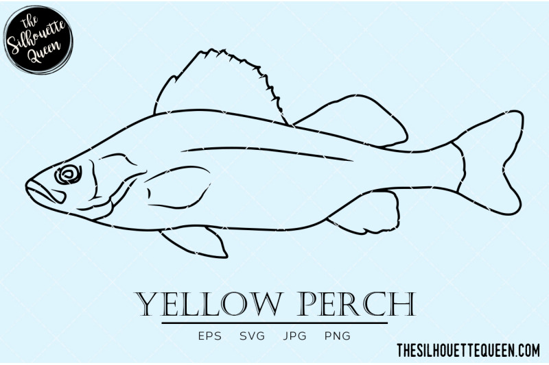 yellow-perch-hand-sketched-hand-drawn-vector-clipart