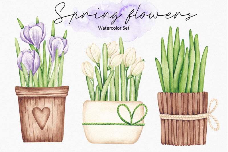 watercolor-set-spring-flowers