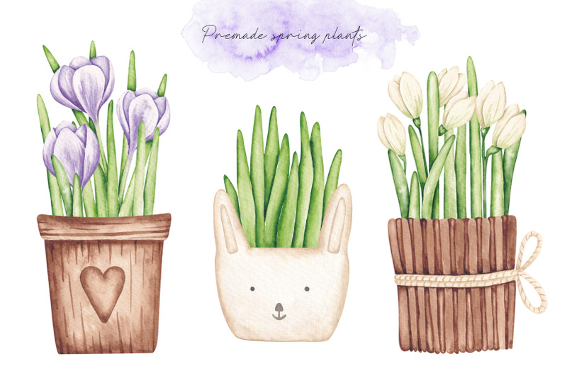watercolor-set-spring-flowers