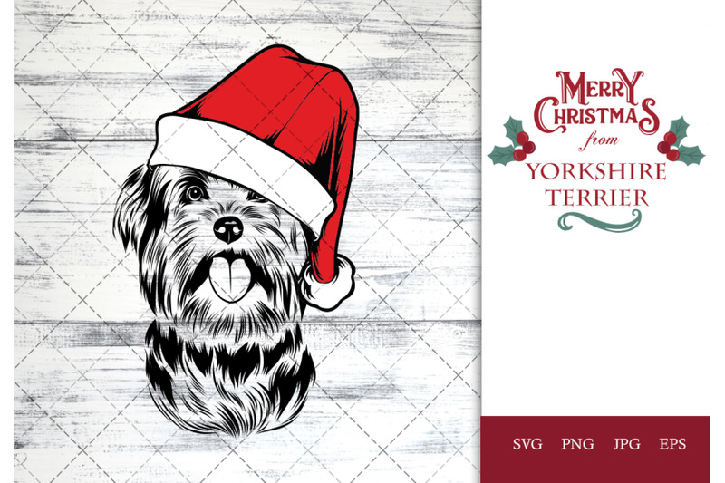 yorkshire-terrier-dog-in-santa-hat-for-christmas