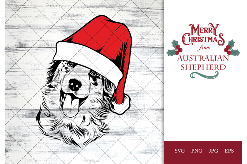 australian-shepherd-dog-in-santa-hat-for-christmas