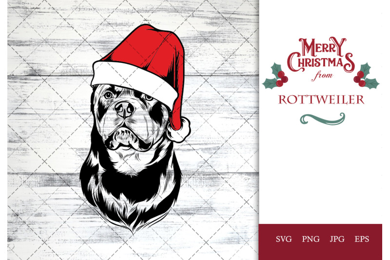 rottweiler-dog-in-santa-hat-for-christmas