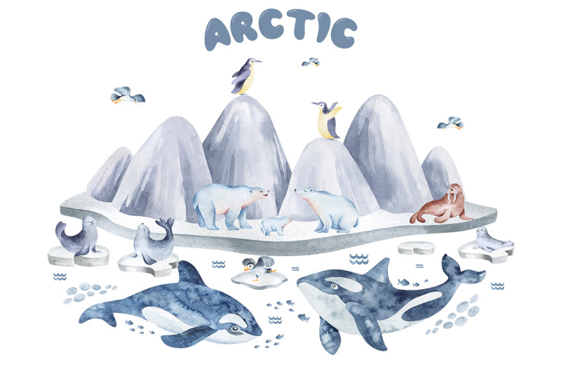 watercolor-illustration-arctic-jpg-png-psd