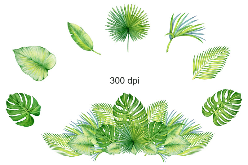 watercolor-tropical-leaves-monstera-clip-art-digital-drawing-tropica