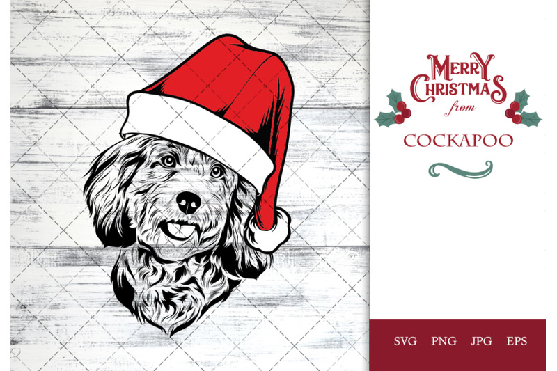 cockapoo-dog-in-santa-hat-for-christmas