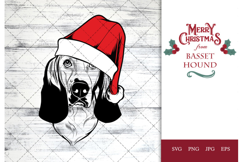 basset-hound-dog-in-santa-hat-for-christmas