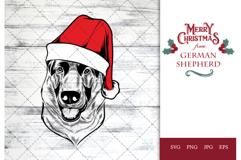 german-shepherd-dog-in-santa-hat-for-christmas