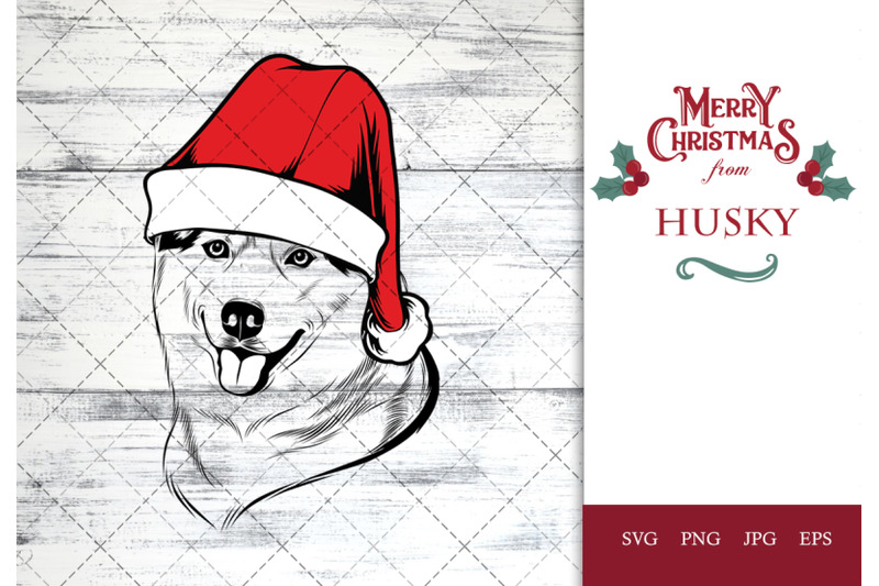 husky-dog-in-santa-hat-for-christmas