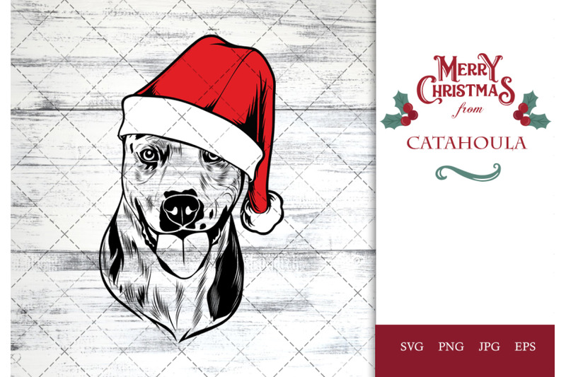 catahoula-dog-in-santa-hat-for-christmas