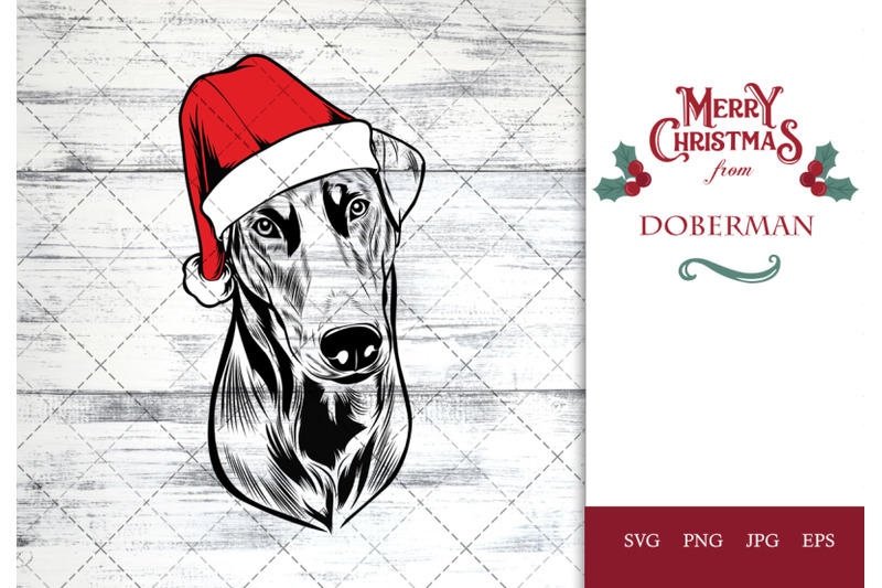 doberman-dog-in-santa-hat-for-christmas