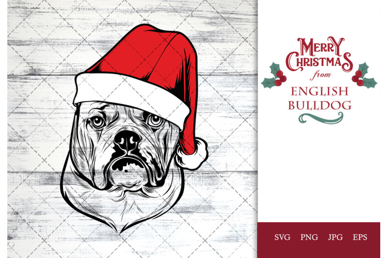 english-bulldog-dog-in-santa-hat-for-christmas