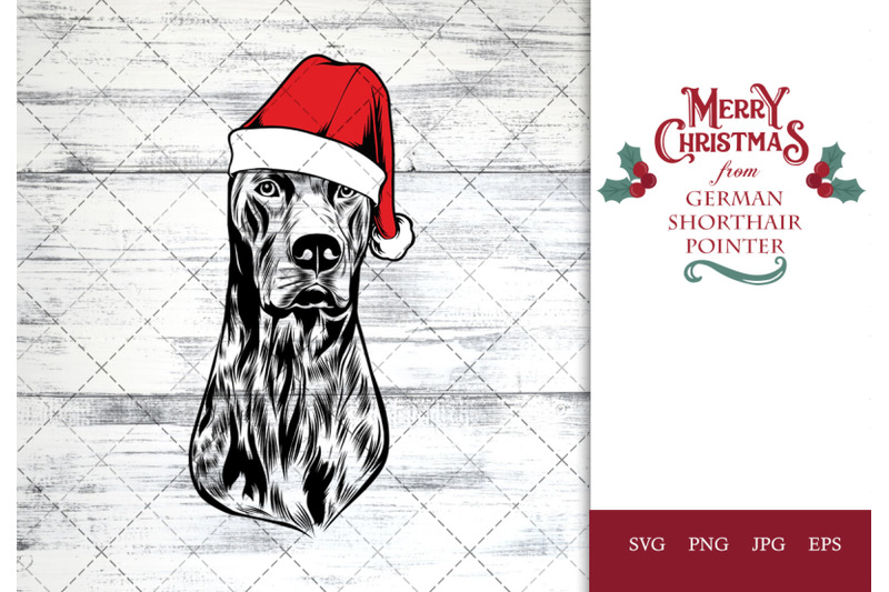 german-shorthair-pointer-dog-in-santa-hat-for-christmas