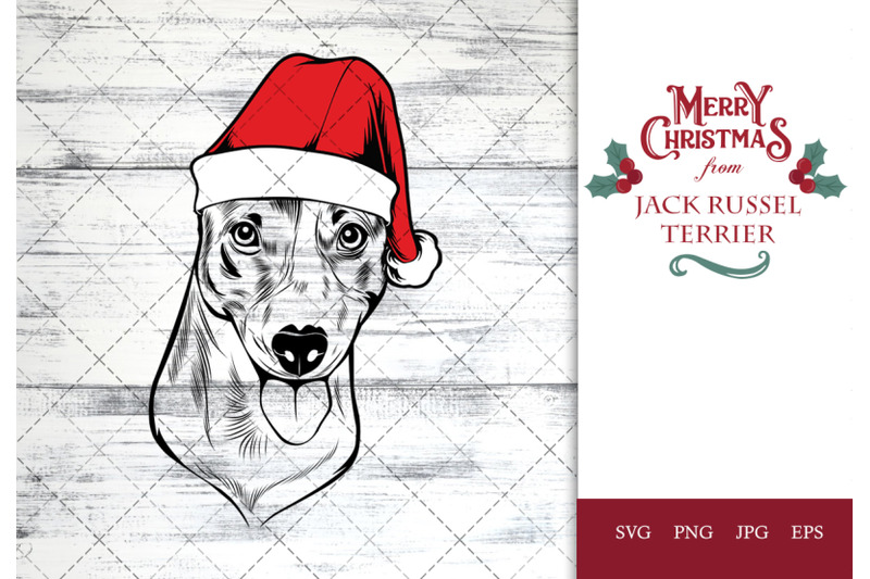 jack-russel-terrier-dog-in-santa-hat-for-christmas