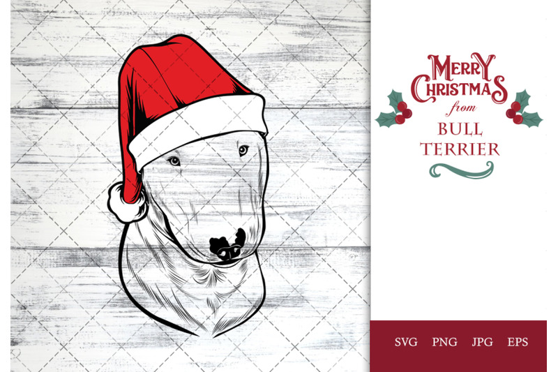 bull-terrier-dog-in-santa-hat-for-christmas