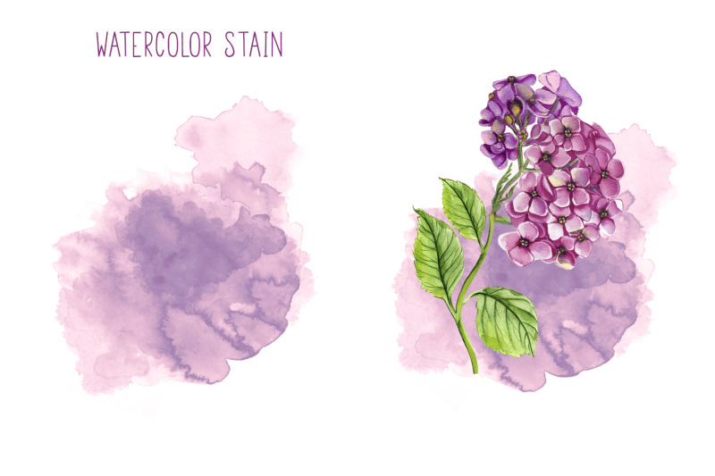 watercolor-hydrangea-flowers-clipart-pink-hydrangea