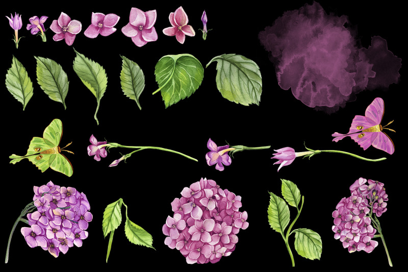 watercolor-hydrangea-flowers-clipart-pink-hydrangea