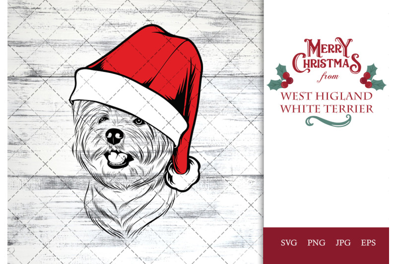 west-highland-white-terrier-dog-in-santa-hat-for-christmas