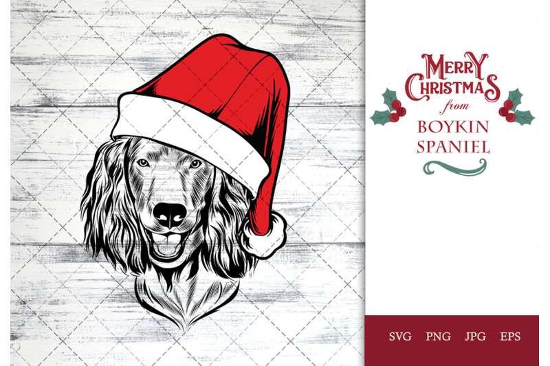 boykin-spaniel-dog-in-santa-hat-for-christmas