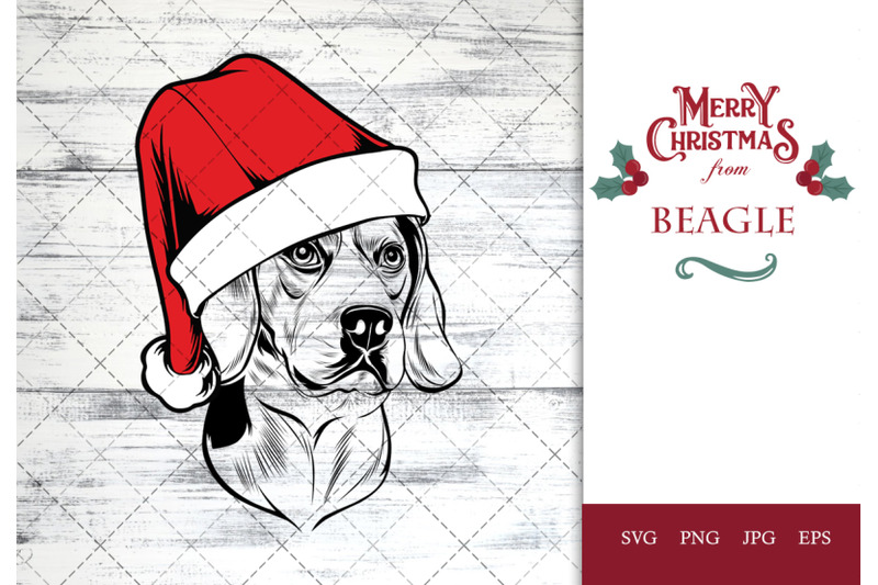 beagle-dog-in-santa-hat-for-christmas