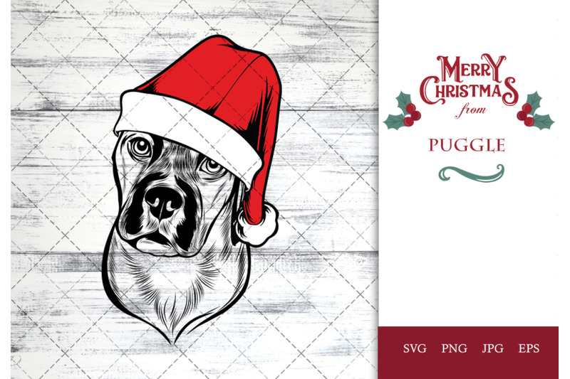 puggle-dog-in-santa-hat-for-christmas