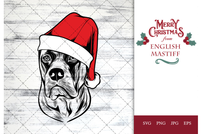 english-mastiff-dog-in-santa-hat-for-christmas