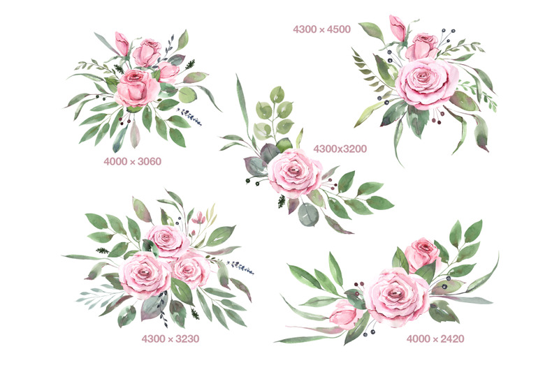 Pink Rose Watercolor Flower Clipart. Blush Rose Floral Bouquet Clipart ...