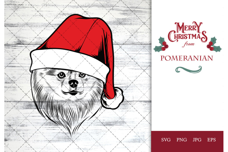 pomeranian-dog-in-santa-hat-for-christmas