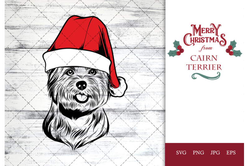 cairn-terrier-dog-in-santa-hat-for-christmas