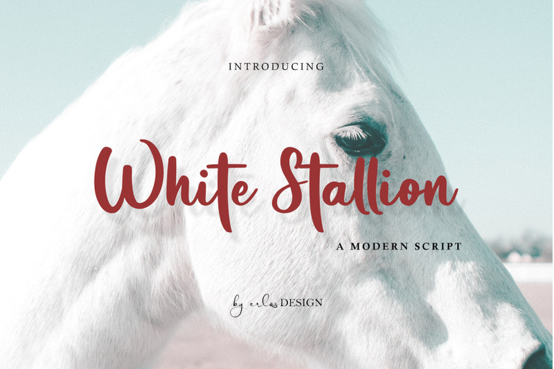 white-stallion