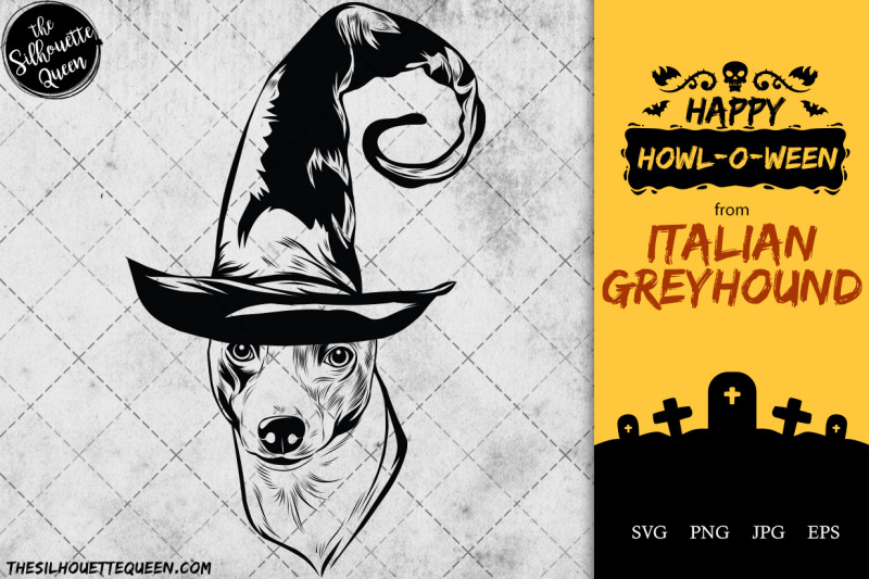 italian-greyhound-dog-in-witch-hat-for-halloween