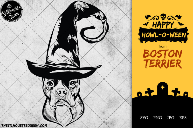 boston-terrier-dog-in-witch-hat-for-halloween