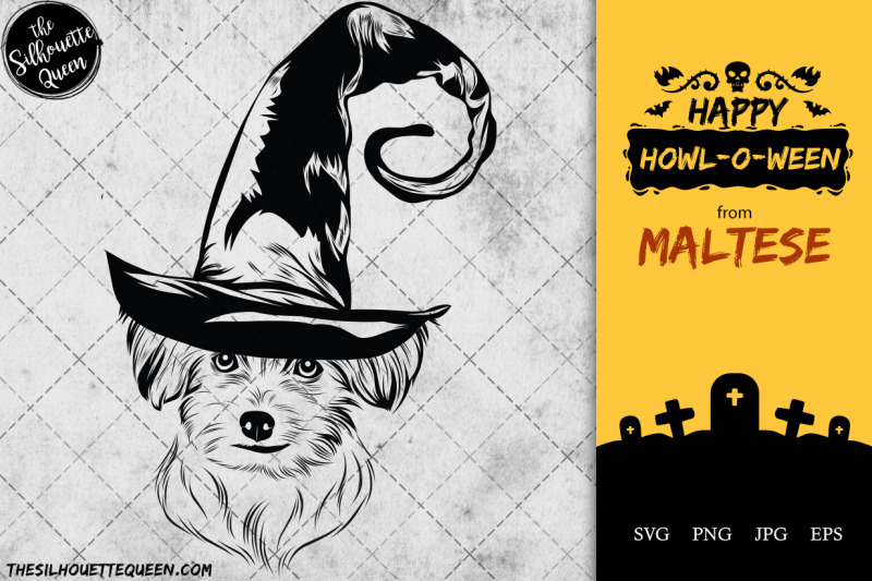 maltese-dog-in-witch-hat-for-halloween